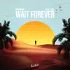 Meynberg - Wait Forever (feat. Vide) - Single
